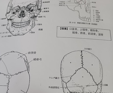 柔整鍼灸国家試験に対してのご相談を承ります 国家試験対策の講師として20年の経験があります イメージ1