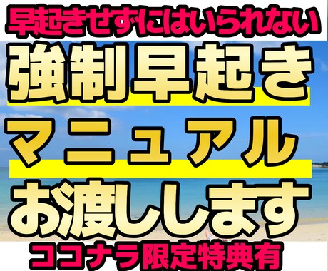 早起き【強制】マニュアル　お渡しします 早く起きずには居られない。【強制的に】早起きする方法教えます イメージ1