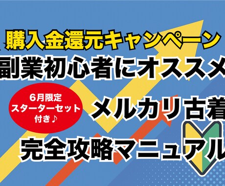 副業初心者OK◎メルカリ古着転売ノウハウを教えます 古着歴20年/取引実績1800件のプロが教える転売ノウハウ イメージ1