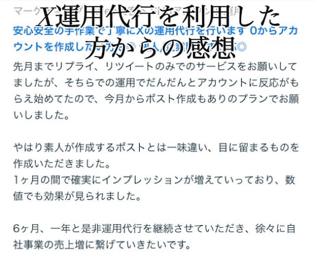 安心安全の手作業で丁寧にXの運用代行を行います 0からアカウントを作成したい方も◎ 個人/企業問わず対応◎ イメージ2