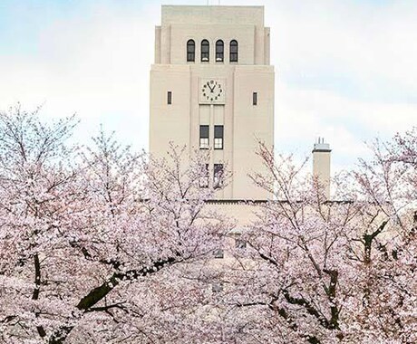 高校・大学受験の数学の家庭教師やります 公立高校から現役で東工大に合格した現役大学生による数学 イメージ1