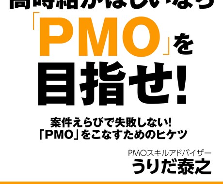 客先常駐(SES)のお悩み相談を承ります 20年超えの現役SESが、適切なアドバイスをいたします! イメージ2