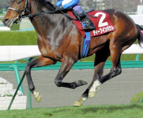 競馬予想、指定したレースの予想いたします 当たる予想、予算にあわせて買い目予想提供します。 イメージ1