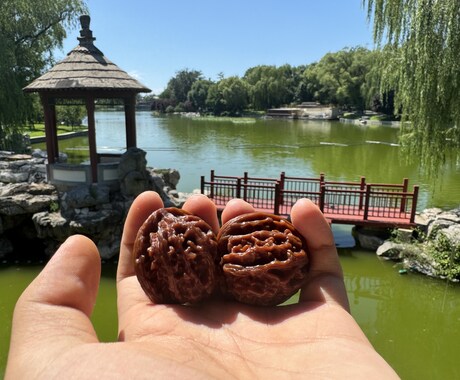 中国語と日本語の文章の翻訳をします 適切かつネイティブな翻訳ができます イメージ1