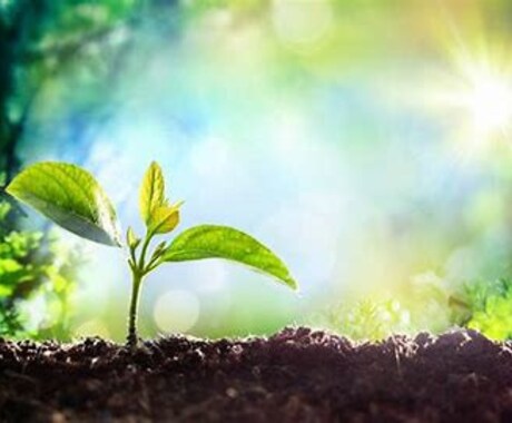 お子様の性格と適性、効果的な接し方をお知らせます ホロスコープからお子様の性格と適性効果的な接し方を鑑定します イメージ1