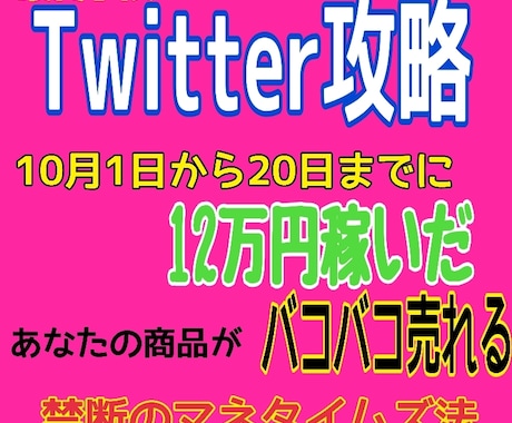 最終手段！Twitter攻略マネタイムズ法教えます SNS無双であなたの商品がバコバコ売れるノウハウ イメージ1