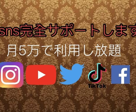 youtubeやsnsの全てサポートします sns完全サポート月5万円で(RIPITOSA) イメージ1