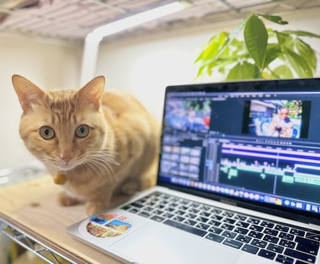 満足度の高い動画編集をします クオリティはもちろん！納品、レスポンス素早く対応いたします！ イメージ2
