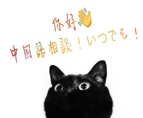 中国語⇄日本語に翻訳します！！よろしくお願いします イメージ1