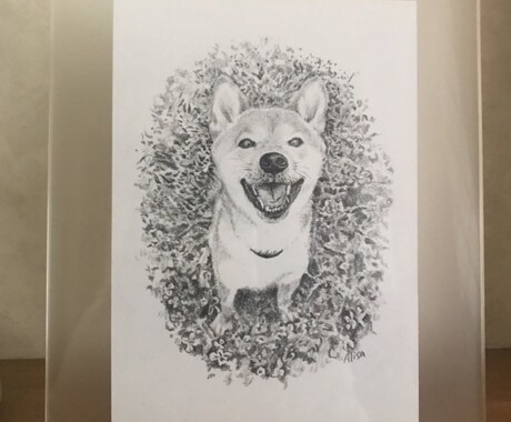 写真を元に鉛筆画を描きます イメージ1