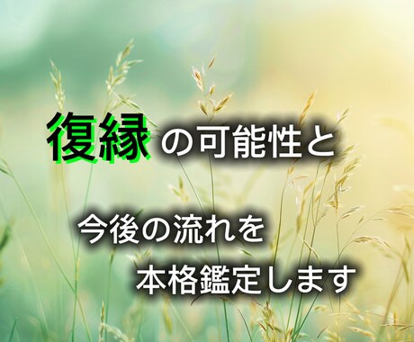 復縁の可能性・本音を数秘と西洋占星術で鑑定します 本質と流れから未来の可能性を読みます イメージ1