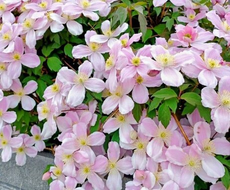 心がしんどい時のための、やさしい傾聴をします がんばりすぎて疲れた心を、そっと休める時間をつくります。 イメージ1
