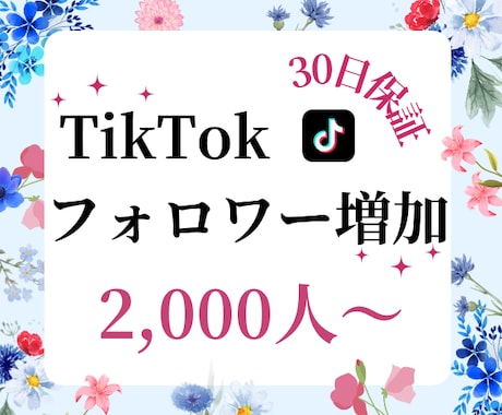 TikTokフォロワーを増加します TikTokフォロワー宣伝・拡散！いいね・再生数も対応可能！ イメージ1