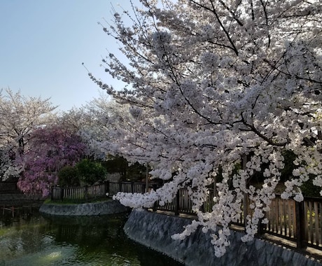 自然の空間の写真を提供します 安らいだ時間を風景写真で感じませんか? イメージ2