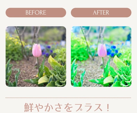 1000円で最大3枚！写真を彩り豊かに加工します 旅行の景色や食べ物など思い出の1枚や、SNS用にも✨️ イメージ1