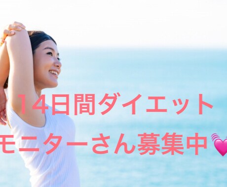 女性モニター特価！14日間ダイエットサポートします ビデオチャット2回付き♪カウンセリング＋エクササイズ指導♪ イメージ1