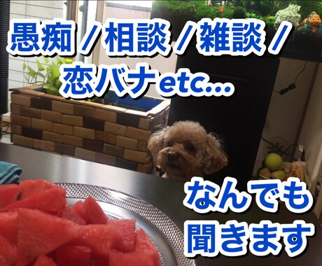 愚痴/相談/雑談/恋バナ/一児の母が何でも聞きます 前向きな気持ちになれるようサポート致します イメージ1