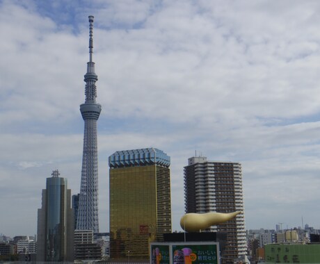 東京で積極的に暇つぶしする場所を提案します 東京生まれ東京育ちの通訳案内士があなたの希望に合う行程を提案 イメージ2