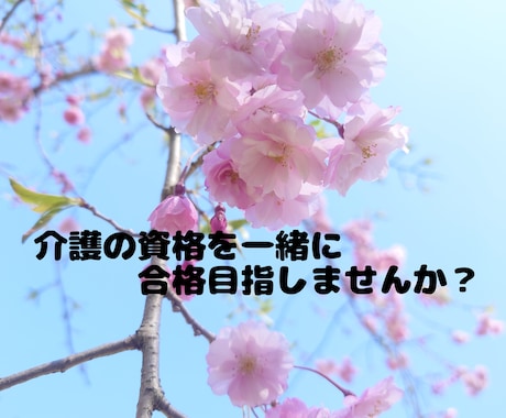 介護の資格合格のため、1か月間家庭教師をします 現役介護講師が、試験合格のために徹底サポートします。 イメージ1