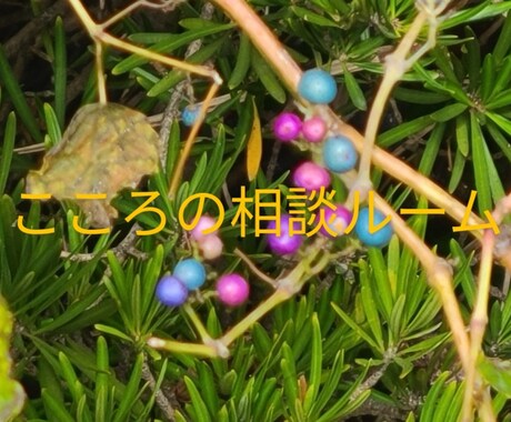 ささやかな幸せ発見のお手伝いします 暇つぶしや愚痴などの話し相手します! イメージ1