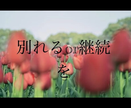 2人が別れるべきか、継続か、ズバリ答えます 現心理カウンセラーが別れるか否かの葛藤を見極めます イメージ2