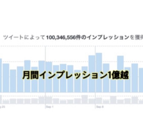 1億人に拡散！【1億アクセス】のある垢で宣伝します 年間5億インプレッション達成。どんな宣伝も2万インプ保証付き イメージ2