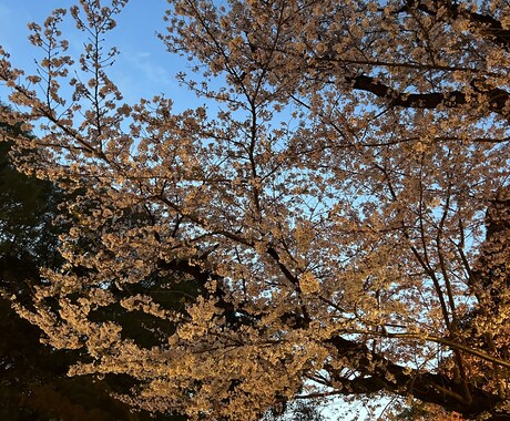 自慢まってます 自分を好きになろう、自分が主役のチャットです。 イメージ1