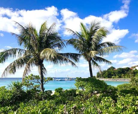 沖縄移住＆留学したい方、相談に乗ります お子様のインターナショナルスクール、住むエリアのアドバイス イメージ1