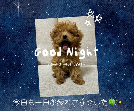 夜のひととき。お話をお聞きします どんなお話でも大丈夫です⭐️眠れない夜にも寄り添います⟡☾ イメージ2