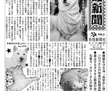 新聞・会報の制作承りますます 真面目なものからおもしろ系のものまで イメージ1