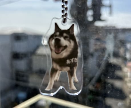 ペットやお子様の写真をアクリル製品に加工します お気に入りの写真データを頂ければレイアウト〜加工までおまかせ イメージ2