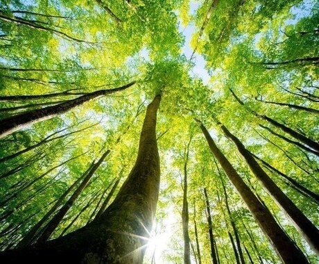使命鑑定｜霊視であなたに下された天命を代弁します あなたの魂に刻まれた使命を読み、唯一無二の幸福な未来を イメージ2