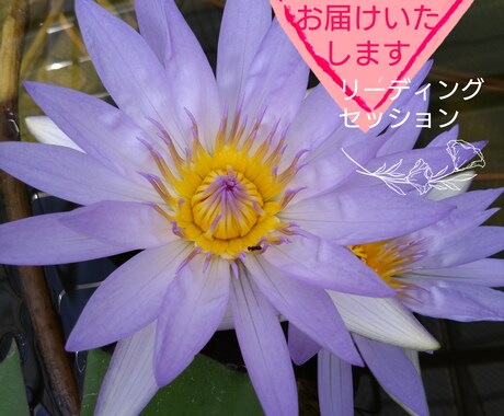 あなたの心の声をお聴きします 【じぶん還り】していくための対話セッション イメージ1