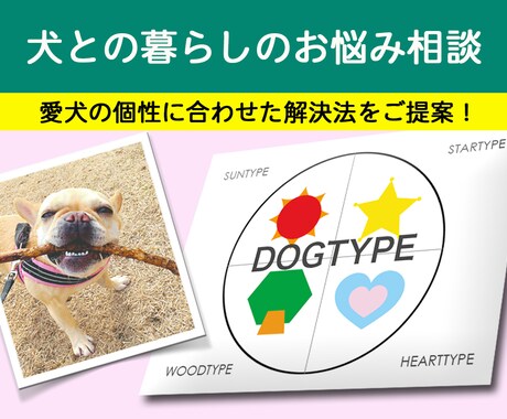 犬との暮らしのお悩み相談します ⭐︎⭐︎愛犬の個性、性格に合わせたご提案をします！ イメージ1