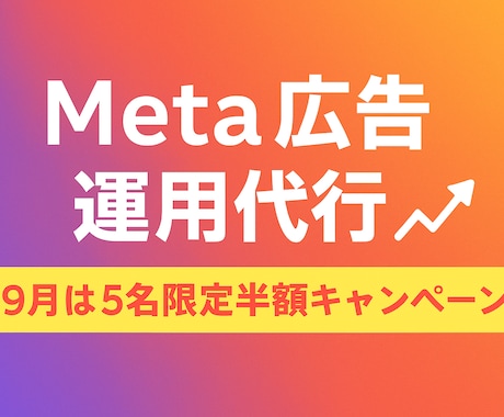 Meta広告運用代行します 初心者歓迎！わかりやすい運用代行 イメージ1