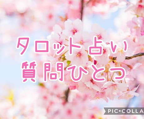 タロット占い ひとつの質問にお答えします あなたの質問おひとつまずは解決しませんか? イメージ1