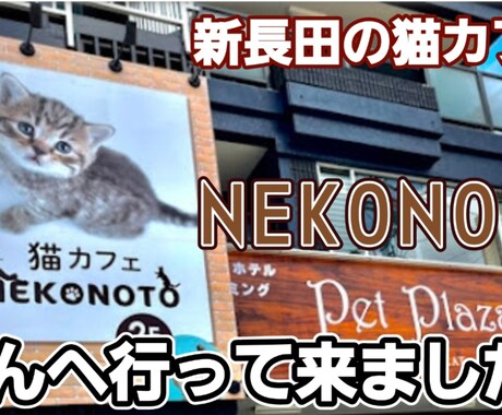 YouTube動画編集します YouTube動画、サムネイルOK! イメージ1