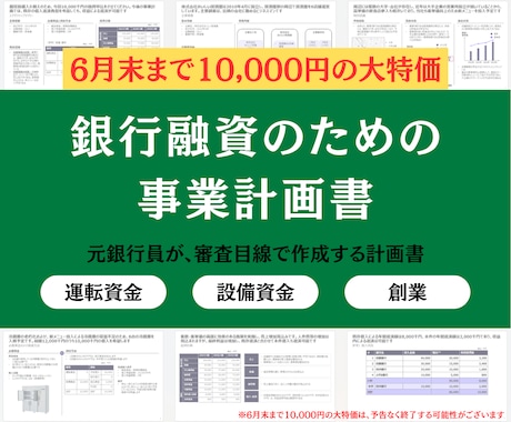 銀行融資のための計画書を作成します イメージ1