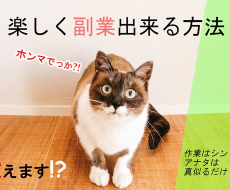 巷で人気のコピペ系商材ネタを先着5名に大暴露します コピペ作業系はこうやって稼ぎます！ イメージ1