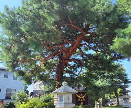 四柱推命であなたの仕事のお悩みに答えます 自分の才能がわかると、職場でも怖くない！ イメージ1