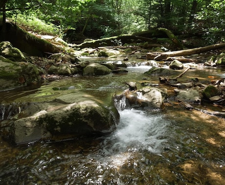 深く絡みついた不要なエネルギーを浄化します 何をしても楽にならなかった方のための本格浄化 イメージ2