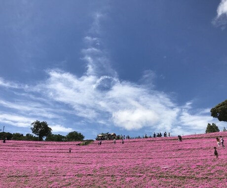 色々なことをタロットで占います 迷っている事などの決めれない事、不安な事を少しでもいい方向に イメージ1