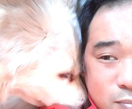 眠れない時一緒に悩みます わたしも苦労しました。一緒に考えましょう イメージ2