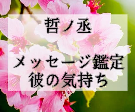 迷いを絶ち彼の心の奥の真実を霊視×祈祷で見抜きます 【鑑定歴20年】メッセージ鑑定・片思い・恋愛・結婚・復縁恋愛 イメージ1