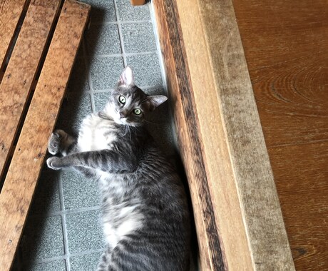 どんな事でもお話し聞きます 日頃の悩み、相談いっぱいして下さいね。すっきりした明日を！ イメージ2
