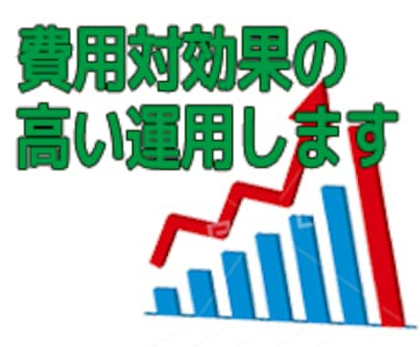 リスティング広告運用代行します 大手広告代理店勤務！費用対効果の高い運用を目指すなら イメージ1