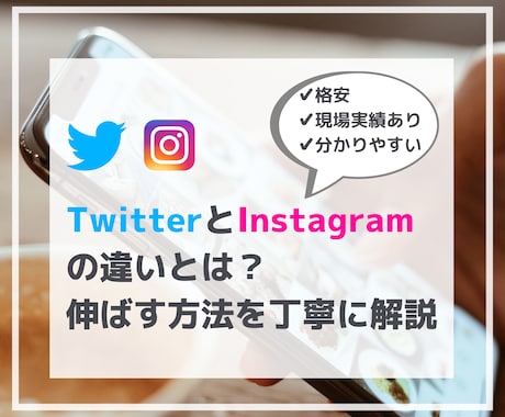 TwitterとInstagramの違いを教えます 現場実績あり！ツイッターとインスタグラムを伸ばす方法を伝授！ イメージ1