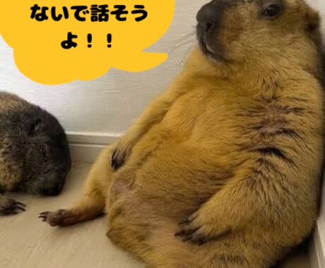 いつでもあなたの話を聴きまます 昼休みの10分でも、夜の不安でもOKです。 イメージ1