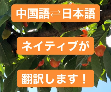 格安で中国語⇄日本語翻訳します 日本と中国のネイティブである私が翻訳いたします！ イメージ1