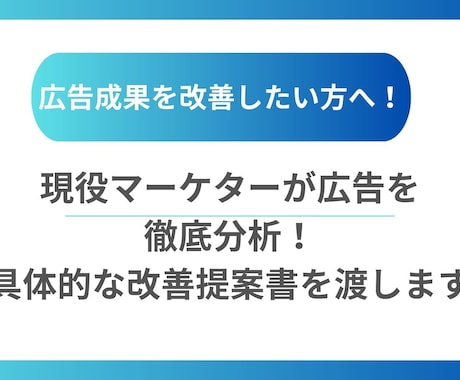 広告の成果を最大化する具体改善書を渡します 広告アカウントを徹底診断/成果が出る構造へ立て直します イメージ1